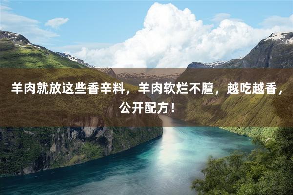 羊肉就放这些香辛料，羊肉软烂不膻，越吃越香，公开配方！