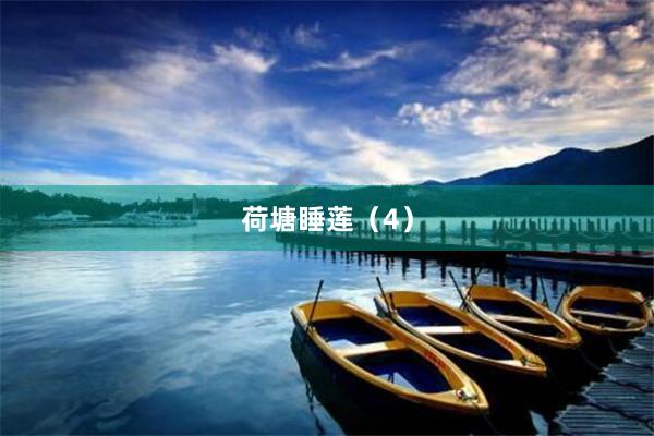 荷塘睡莲（4）