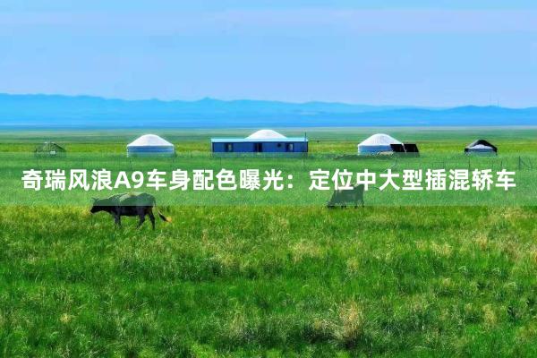 奇瑞风浪A9车身配色曝光：定位中大型插混轿车