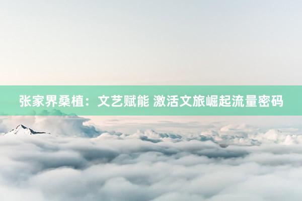 张家界桑植：文艺赋能 激活文旅崛起流量密码