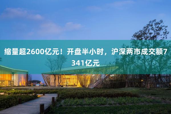 缩量超2600亿元！开盘半小时，沪深两市成交额7341亿元