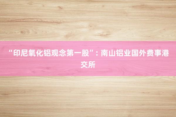 “印尼氧化铝观念第一股”: 南山铝业国外费事港交所