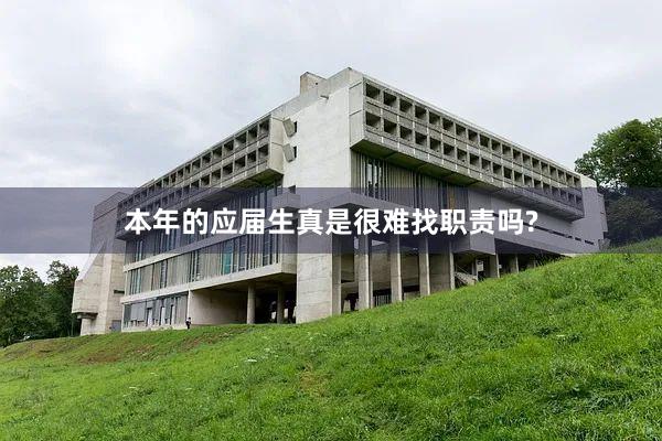 本年的应届生真是很难找职责吗?