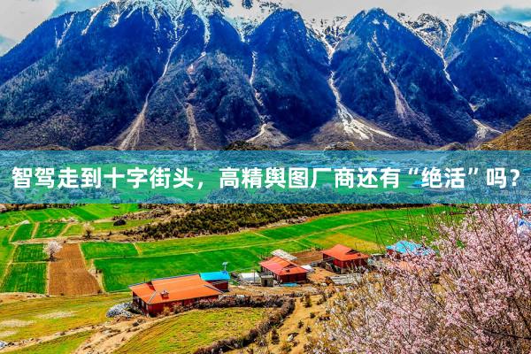 智驾走到十字街头，高精舆图厂商还有“绝活”吗？