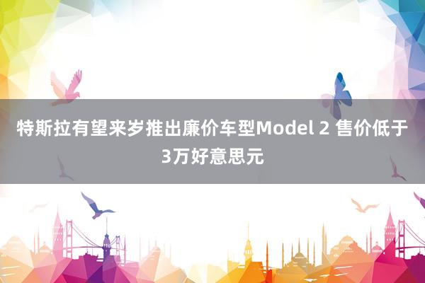 特斯拉有望来岁推出廉价车型Model 2 售价低于3万好意思元