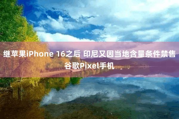 继苹果iPhone 16之后 印尼又因当地含量条件禁售谷歌Pixel手机
