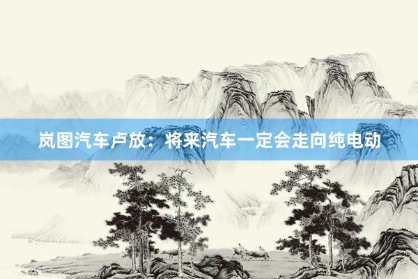 岚图汽车卢放：将来汽车一定会走向纯电动