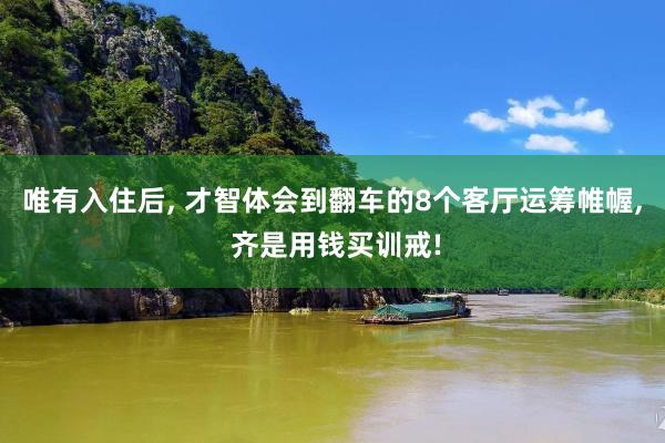 唯有入住后, 才智体会到翻车的8个客厅运筹帷幄, 齐是用钱买训戒!