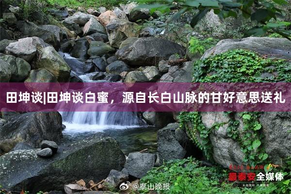 田坤谈|田坤谈白蜜，源自长白山脉的甘好意思送礼