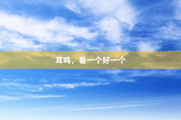 耳鸣，看一个好一个