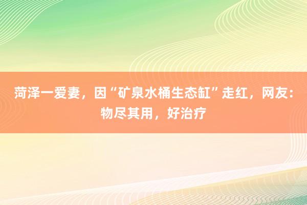 菏泽一爱妻，因“矿泉水桶生态缸”走红，网友：物尽其用，好治疗