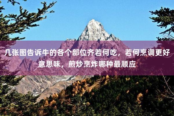 几张图告诉牛的各个部位齐若何吃，若何烹调更好意思味，煎炒烹炸哪种最顺应