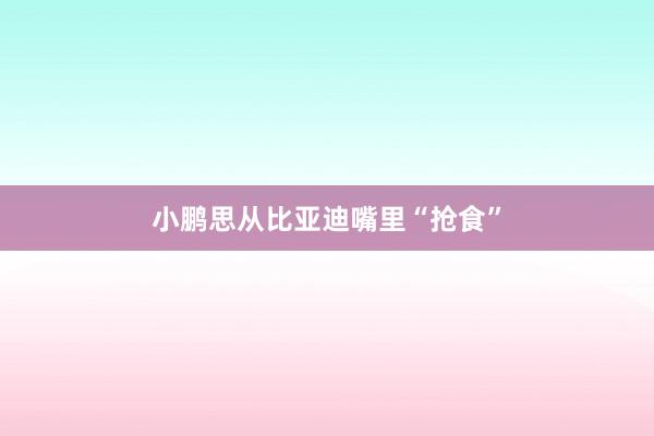 小鹏思从比亚迪嘴里“抢食”