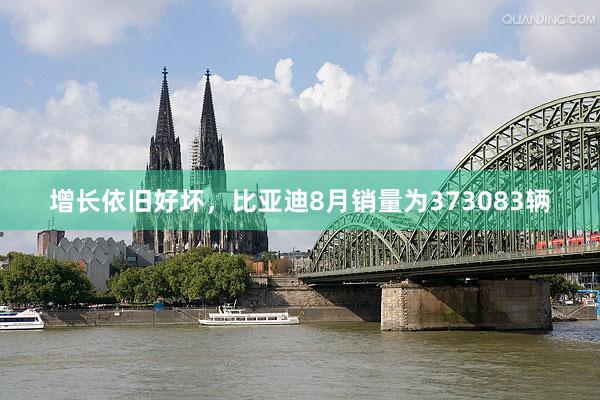 增长依旧好坏，比亚迪8月销量为373083辆