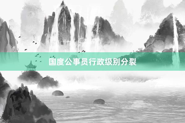 国度公事员行政级别分裂