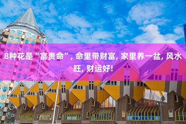 8种花是“富贵命”, 命里带财富, 家里养一盆, 风水旺, 财运好!