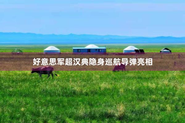 好意思军超汉典隐身巡航导弹亮相