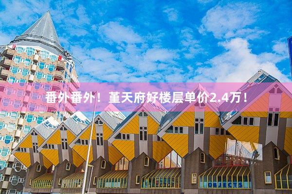 番外番外！堇天府好楼层单价2.4万！