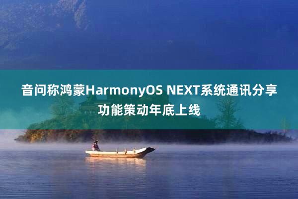 音问称鸿蒙HarmonyOS NEXT系统通讯分享功能策动年底上线