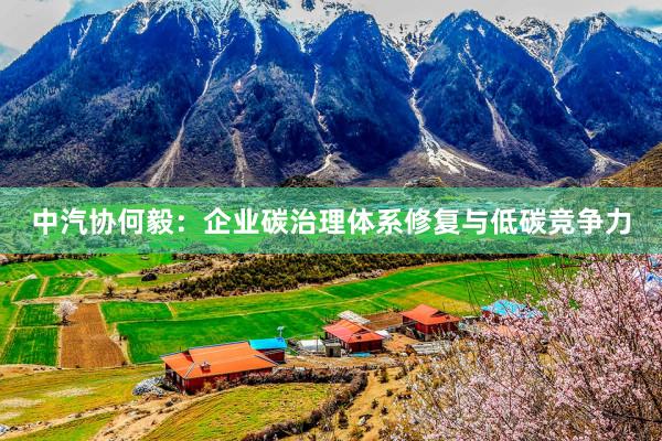 中汽协何毅：企业碳治理体系修复与低碳竞争力