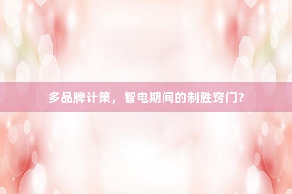 多品牌计策，智电期间的制胜窍门？