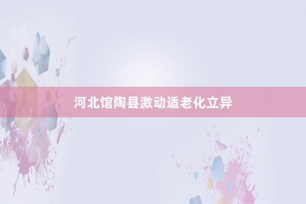 河北馆陶县激动适老化立异