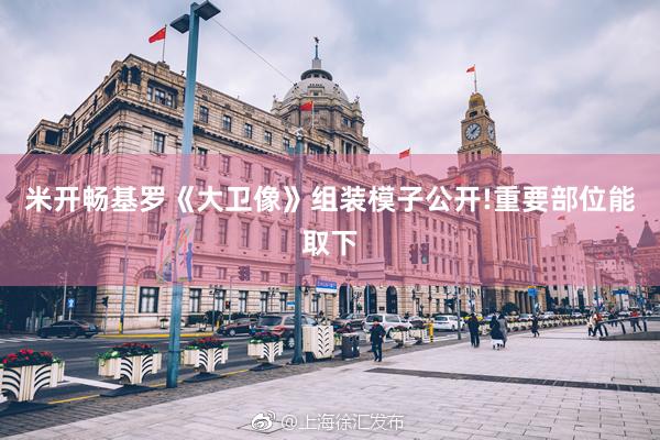 米开畅基罗《大卫像》组装模子公开!重要部位能取下